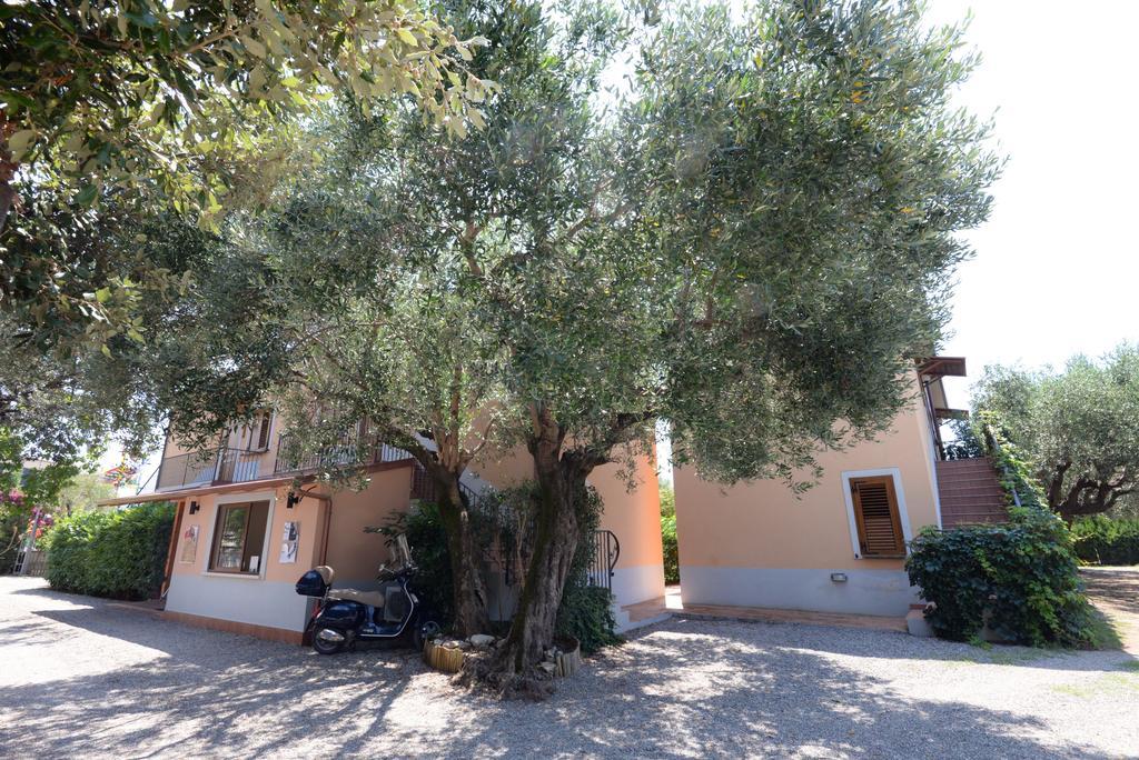 Residence Villa Andrea Марина ди Камерота Екстериор снимка