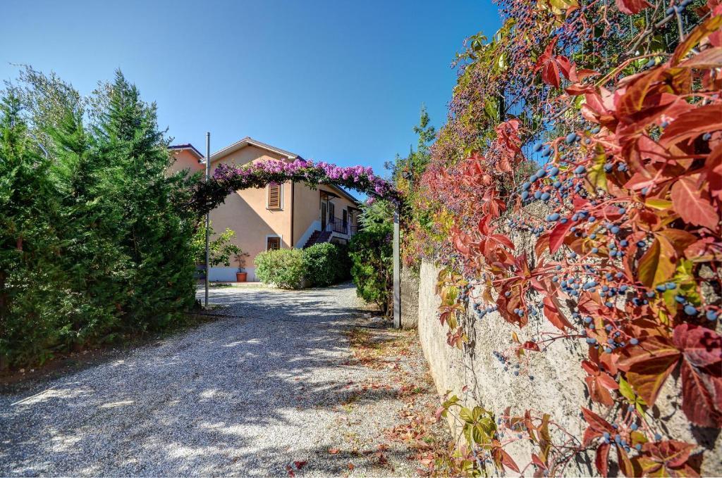 Residence Villa Andrea Марина ди Камерота Екстериор снимка